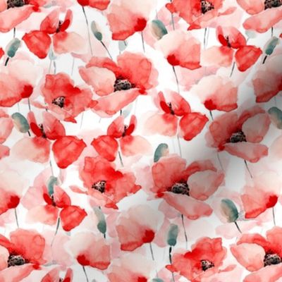 7” Poppy - Hand drawn watercolor poppies on white