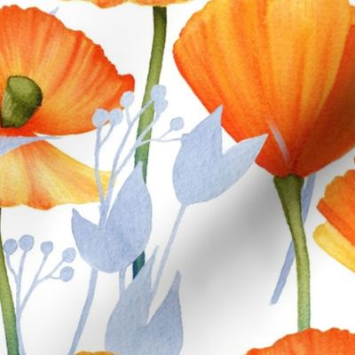 24" Orange Hand drawn watercolor California   Poppy Meadow  -orange poppies, summer wildflowers, meadow flowers