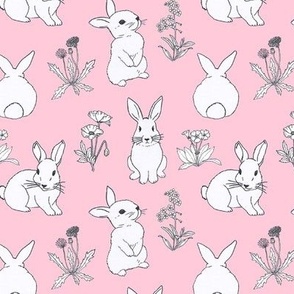 rabbits on pink