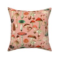 Mushies 3B Retro Pink // large