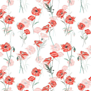 12" Wildflowers Poppies Poppy Flower Floral Summer Blossom Nursery Feminine on double white