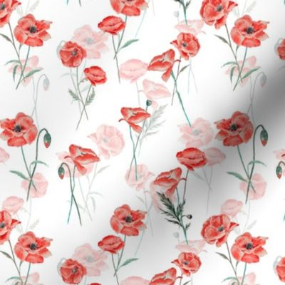 6" Wildflowers Poppies Poppy Flower Floral Summer Blossom Nursery Feminine on double white