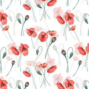 6" Wildflowers Poppies Poppy Flower Floral Summer Blossom Nursery Feminine double on white