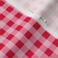 GINGHAM (pink) LARGESCALE