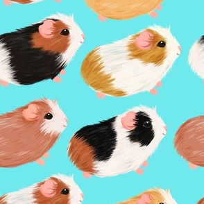 Guinea Pigs