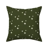 Muslin Stars on Winter Green