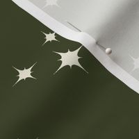 Muslin Stars on Winter Green