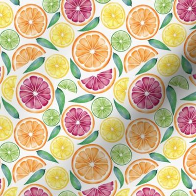Watercolor Citrus Galore