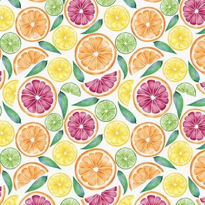 Watercolor Citrus Galore