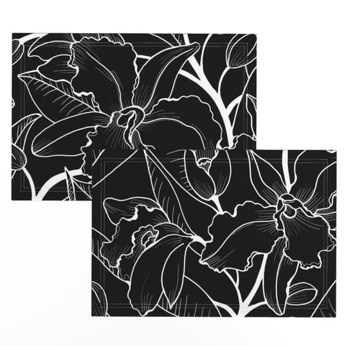 Black and White Tropical Orchid