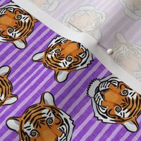 (small scale) tigers - tossed on purple stripes - LAD20