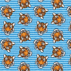 (small scale) tigers - tossed on bright blue stripes - LAD20