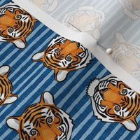 (small scale) tigers - tossed on blue stripes - LAD20