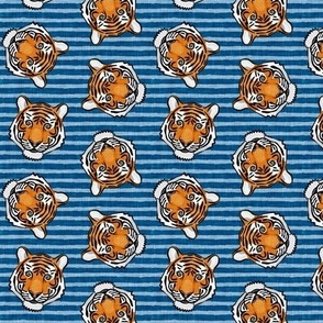 (small scale) tigers - tossed on blue stripes - LAD20