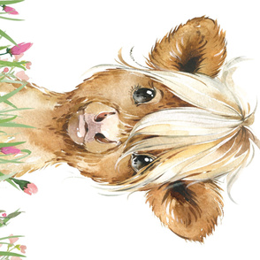 54x36" baby highland cow with grass and flowers 