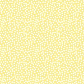 Soft Lemon Yellow Dot|Birthday Babe|Renee Davis