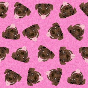 brindle pitbull fabric - tossed pitbulls fabric - hot pink