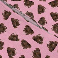 brindle pitbull fabric - tossed pitbulls fabric -pink