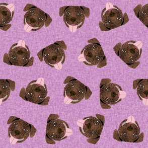 brindle pitbull fabric - tossed pitbulls fabric - purple