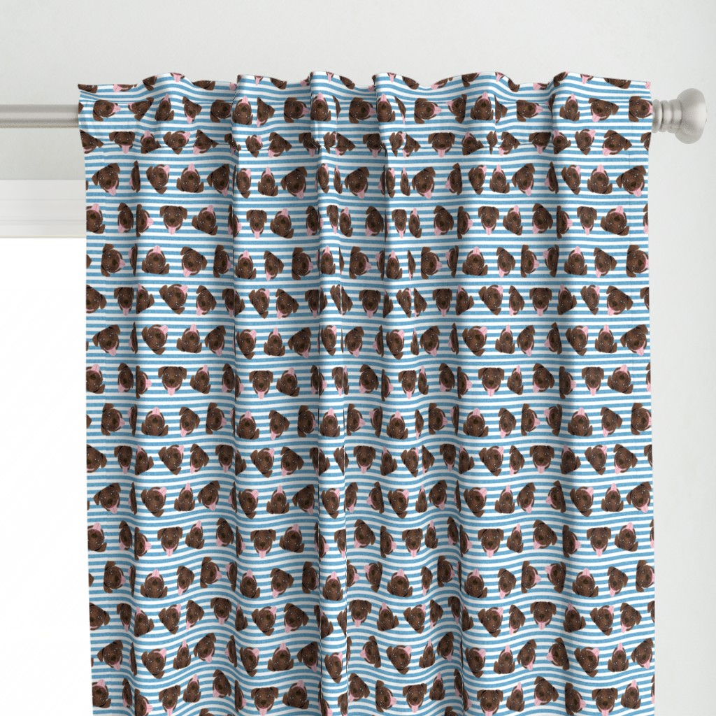 brindle pitbull fabric - tossed pitbulls fabric - blue stripes