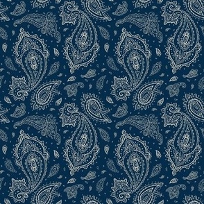 Champagne and Navy Paisley