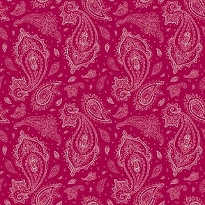 Red and Champagne Paisley