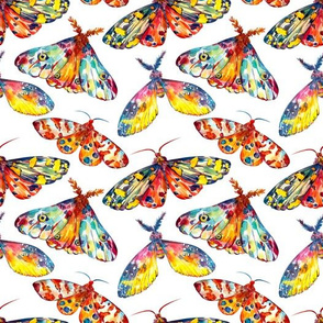 Bright colorful moths watercolor hand painted seamless background on white