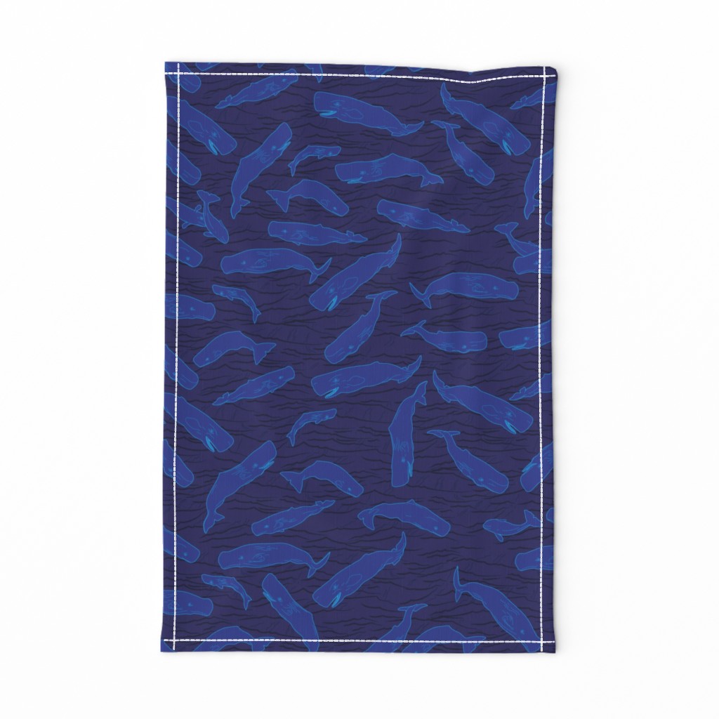 Sperm Whales on Dark Blue