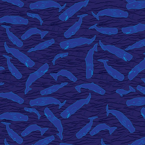 Sperm Whales on Dark Blue