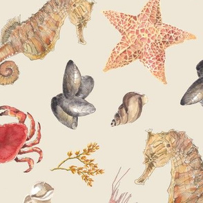Watercolour sea creatures small 