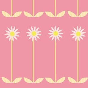 pink_yellow_daisies