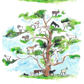Goats in Trees