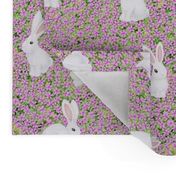 white rabbits on pink carpet phlox