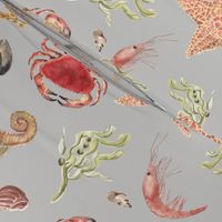 Watercolour sea creatures grey