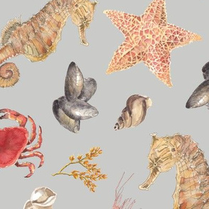Watercolour sea creatures grey