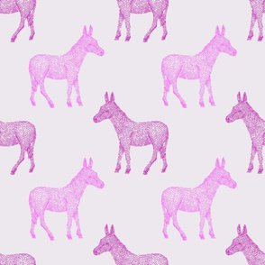 Purple donkeys