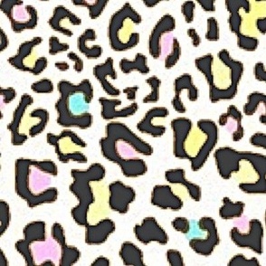 Colorful Leopard Patterns Black
