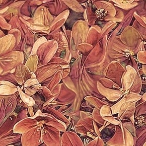 hellebore_red_clay