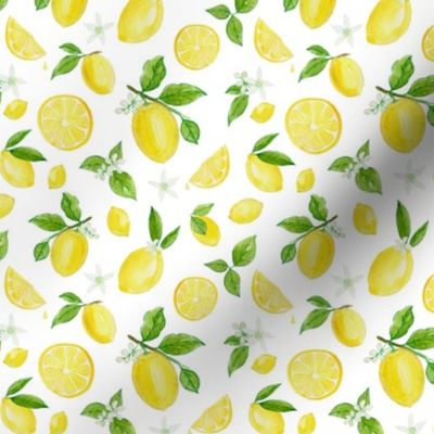 Lemons in Watercolor -Micro by Heather Anderson 