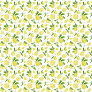 Lemons in Watercolor -Micro by Heather Anderson 