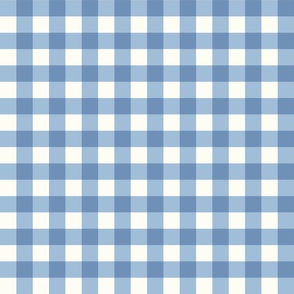 Gingham Denim Blue