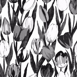 Tulip Bloom in black and white