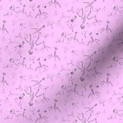 Bacteriophage - Pink