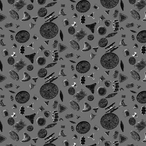 Diatoms - Gray