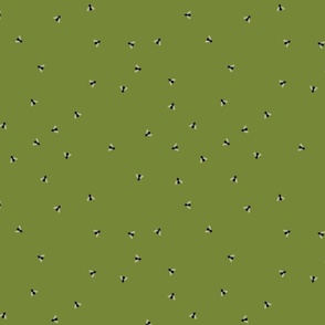 Flies green