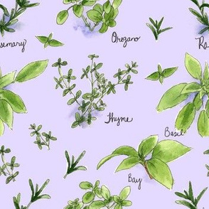 Culinary Herbs in Lavender