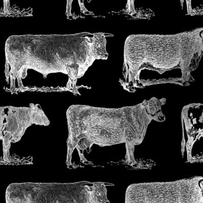 Classic Cow Illustrations Black & White Pattern with Black Background