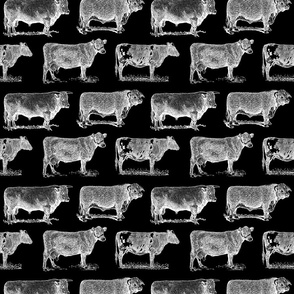 Classic Cow Illustrations Black & White Pattern with Black Background