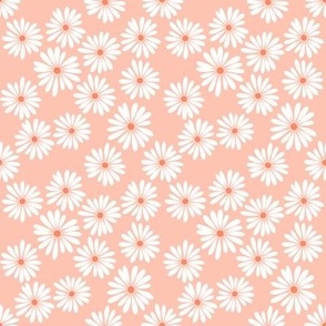 Little Daisy Coral // standard