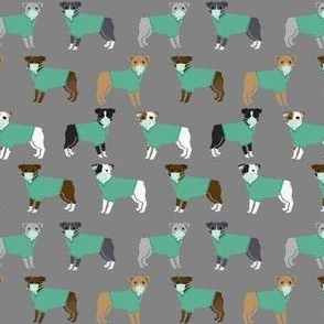 pitbulls in scrubs - nurse, doctor, vet fabric - dogs in scrubs - grey